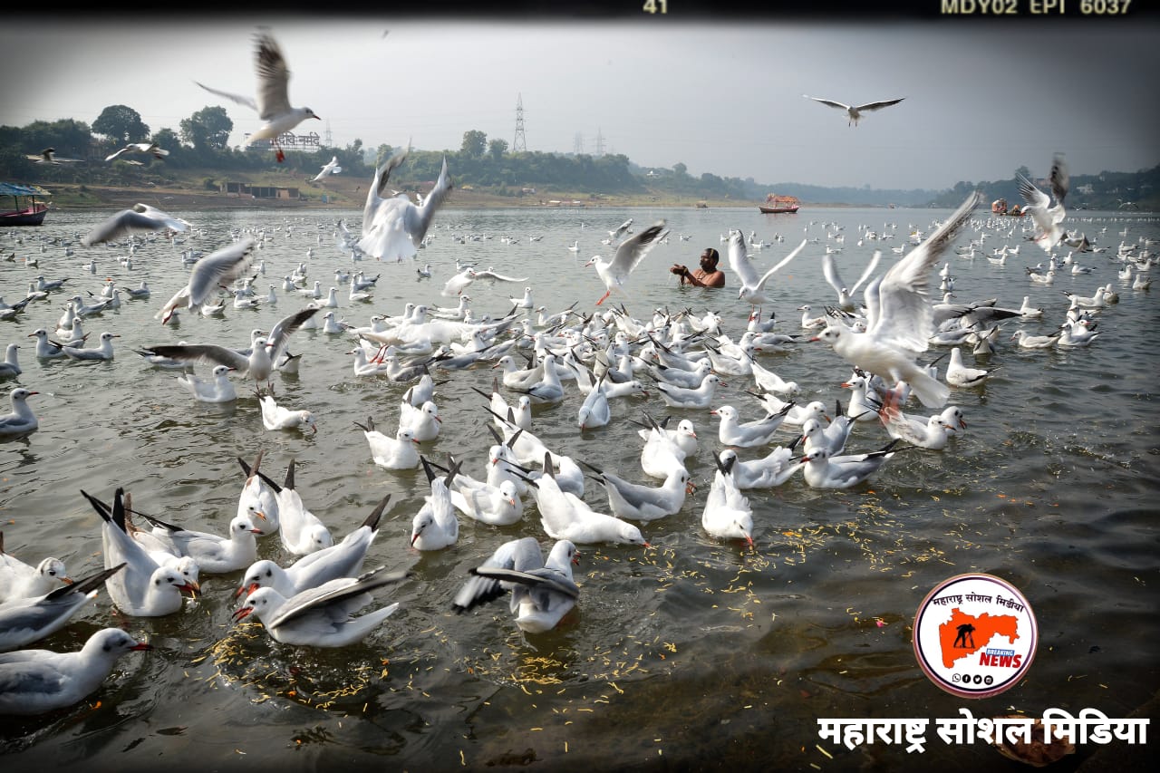पोकळ सल्ले देणाऱ्यांसाठी, ही छोटीसी बोधकथा 