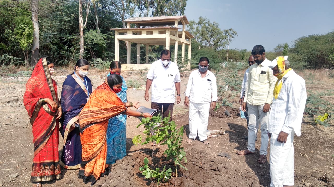 २९६ रोपांची वृक्षलागवड करून कांदलगावात पुण्यश्लोक अहिल्यामातेस अभिवादन