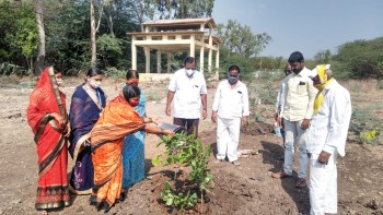२९६ रोपांची वृक्षलागवड करून कांदलगावात पुण्यश्लोक अहिल्यामातेस अभिवादन